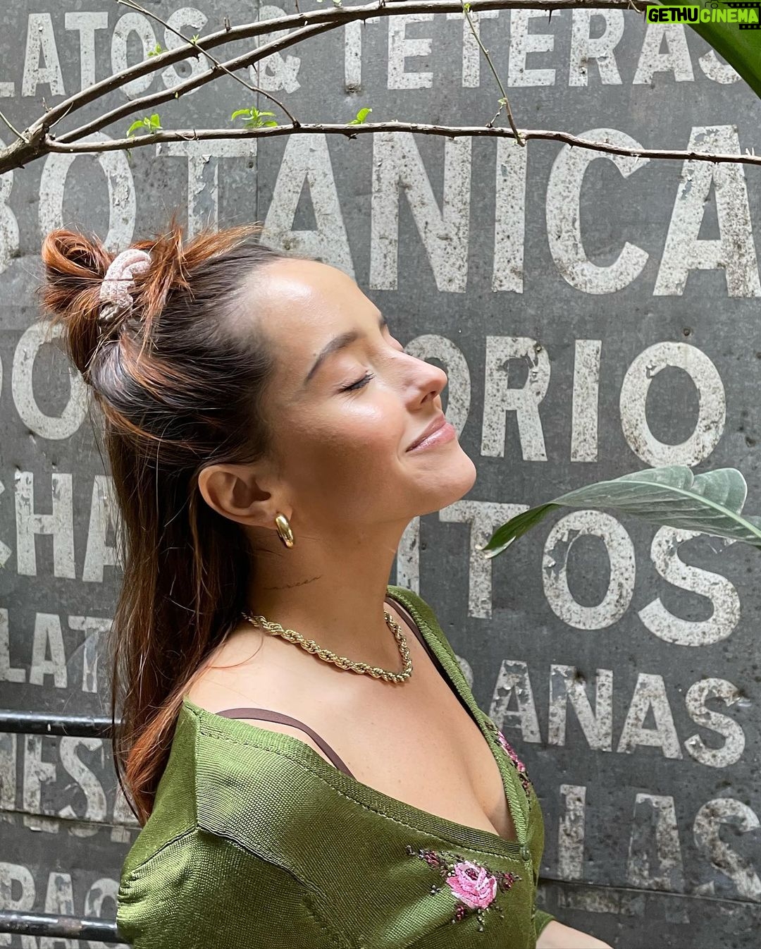 Evaluna Montaner Instagram - Me pinté el pelo del color de mis ojos en Buenos Aires. 🪴
