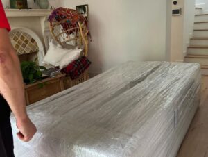 Evaluna Montaner Instagram - Tenemos sofá. Nuestro primer sofá 🛋