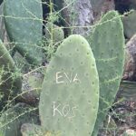 Evaluna Montaner Instagram – Lafa milia.
Les hicimos un playlist con lo que estamos oyendo ahora. (Link en mi Bio)
Se llama Fattoush porque fue nuestro plato favorito en Dubai.
Bai.