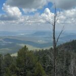 Evan Thomas Instagram – Long loooong hike in Santa Fe mountains! Got a bit turned around, and added a few extra miles of back tracking, but we made it. Just a simple 24 mile hike in hail and rain…everything’s fine 😂. Santa Fe, New Mexico