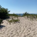 Evan Thomas Instagram – What a way to spend the 4th…away from it all on a beach with no one around. Michigan, you continue to surprise me.

#sorelaxing #beachlife #michiganbeaches #michiganbeauty #summervibes #quietthechaos