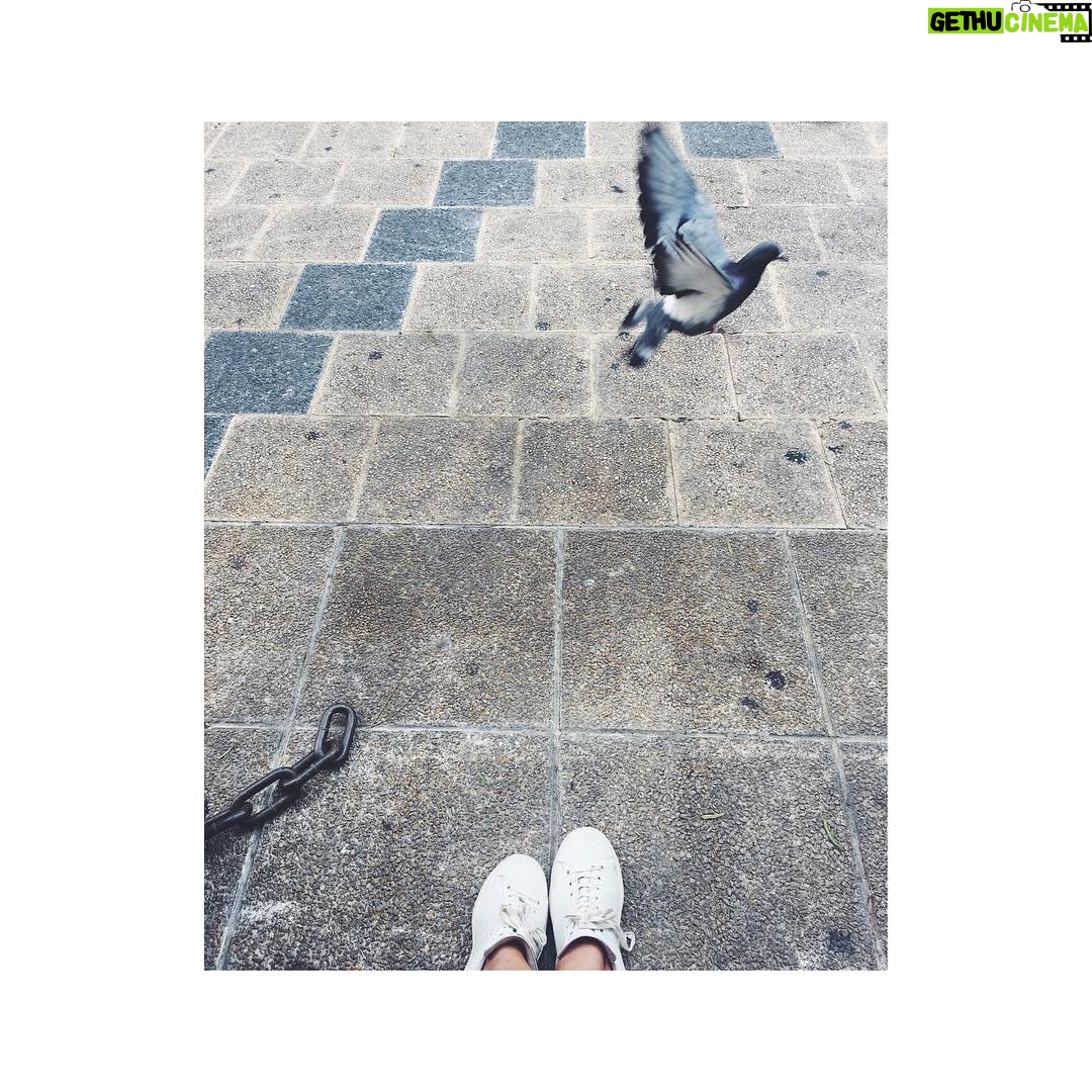 Ezgi Asaroğlu - 13.5K Likes - 🗝