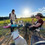 Falk Hentschel Instagram - thank you @harvesthosts kramer winery. #fulltimervlife