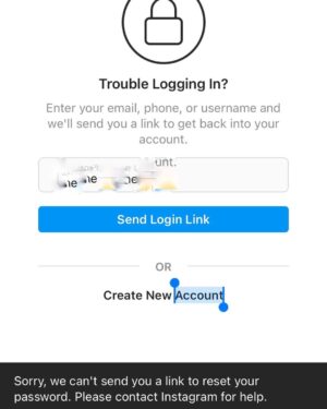 Falk Hentschel Instagram - @instagram replied with this response at the bottom. “sorry we can’t send you link to reset password please CONTACT instagram.” you guys are funny. there is no way to contact you guys and your help center has no advice for this particular problem. mmhhh...does that mean my instagram days are over?