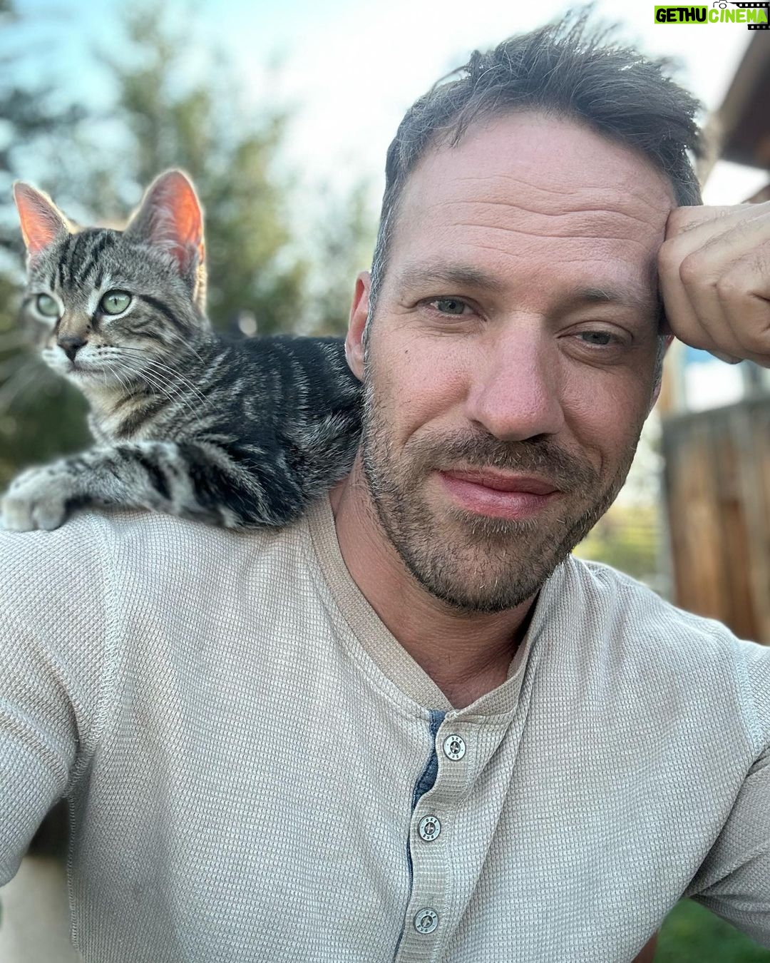 Falk Hentschel - 474 Likes - This guy came by for a photoshoot on the ranch. I feel like he kinda mimicked my expression/vibe for each pic. He tries to hang out on my shoulder whenever i sit down anywhere. Lovely company. Minus the claws in my back as he takes his seat.😃