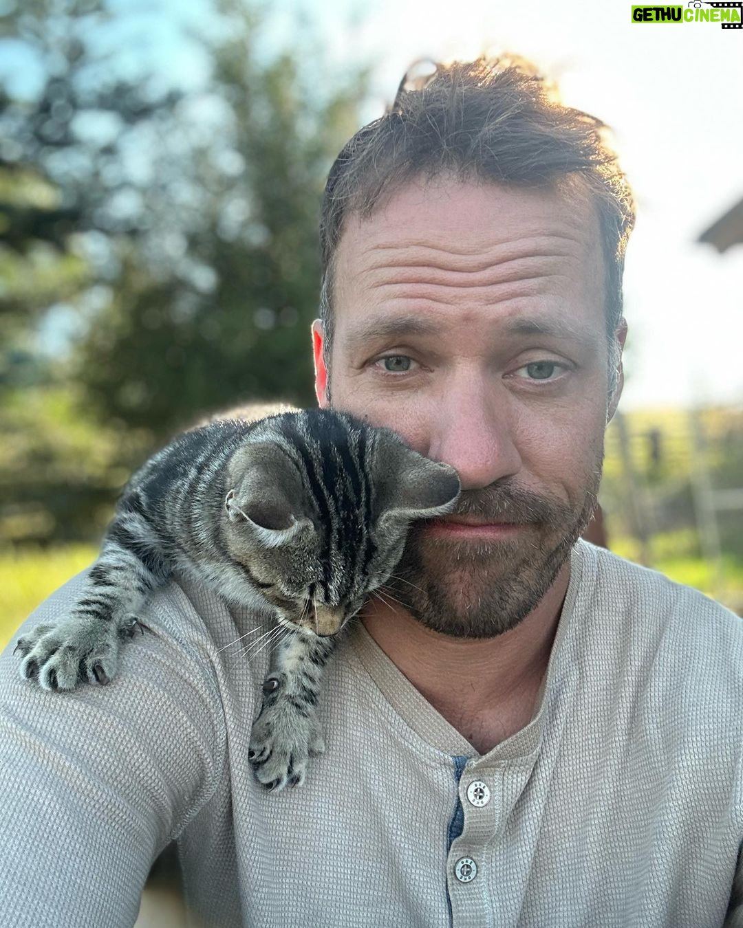 Falk Hentschel - 474 Likes - This guy came by for a photoshoot on the ranch. I feel like he kinda mimicked my expression/vibe for each pic. He tries to hang out on my shoulder whenever i sit down anywhere. Lovely company. Minus the claws in my back as he takes his seat.😃