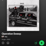 Falz Instagram - Woke up & chose vexxxx 😤😤 2 new BANGERS for your playlists! Don’t forget to say thank you 🤲🏽 #OperationSweep & #Ndiike OUT NOW ON ALL PLATFORMS 🔈