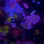 Febby Rastanty Instagram - Left my heart in Tokyo ❤️ teamLab Planets TOKYO / チームラボプラネッツ