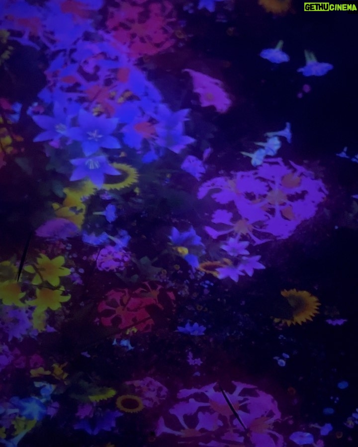 Febby Rastanty Instagram - Left my heart in Tokyo ❤️ teamLab Planets TOKYO / チームラボプラネッツ