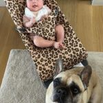 Fedez Instagram - Sei stata parte della nostra famiglia e forse qualcosa di più. Inconsapevolmente sei stata il motivo per cui io e la mamma ci siamo conosciuti, “il cane di Chiara Ferragni ha il papillon di Vuitton” e così quasi per gioco sei sempre stata al nostro fianco in questi 7 anni. Eri con noi quando è nato Leo, eri con noi quando è nata Vittoria. Tu eri noi. Il nostro ultimo abbraccio alla nostra prima bimba. Ciao Mati, ci manchi già ❤️