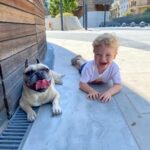 Fedez Instagram - Sei stata parte della nostra famiglia e forse qualcosa di più. Inconsapevolmente sei stata il motivo per cui io e la mamma ci siamo conosciuti, “il cane di Chiara Ferragni ha il papillon di Vuitton” e così quasi per gioco sei sempre stata al nostro fianco in questi 7 anni. Eri con noi quando è nato Leo, eri con noi quando è nata Vittoria. Tu eri noi. Il nostro ultimo abbraccio alla nostra prima bimba. Ciao Mati, ci manchi già ❤️