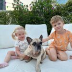 Fedez Instagram - Sei stata parte della nostra famiglia e forse qualcosa di più. Inconsapevolmente sei stata il motivo per cui io e la mamma ci siamo conosciuti, “il cane di Chiara Ferragni ha il papillon di Vuitton” e così quasi per gioco sei sempre stata al nostro fianco in questi 7 anni. Eri con noi quando è nato Leo, eri con noi quando è nata Vittoria. Tu eri noi. Il nostro ultimo abbraccio alla nostra prima bimba. Ciao Mati, ci manchi già ❤️