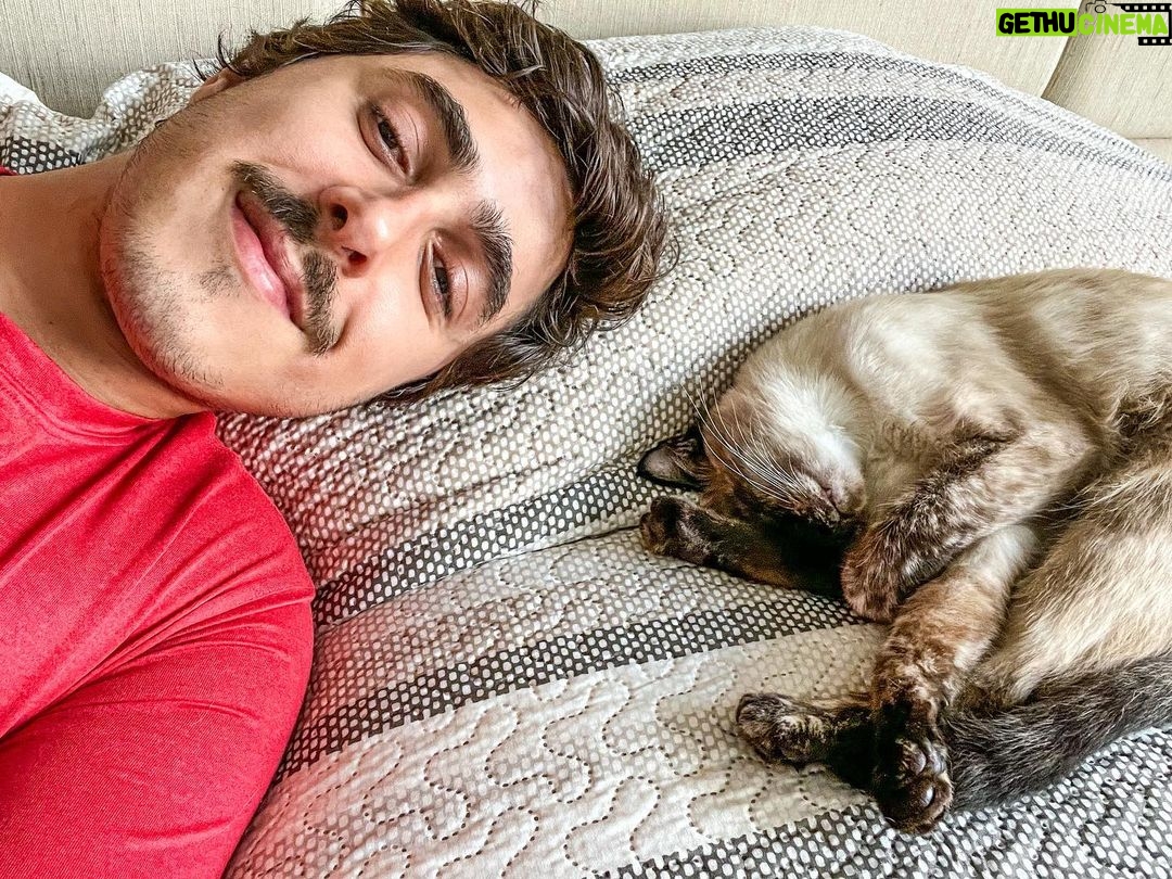 Felipe Castanhari Instagram - Billie, Zelda e Love #photodump