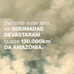 Felipe Castanhari Instagram - Estamos vendo a Amazônia ser DESTRUÍDA diante dos nossos olhos, mas muita gente não sabe, ou pelo menos finge que não sabe. As eleições estão chegando, vote em candidatos que lutam pelo meio ambiente, e não naqueles que o destróem.
