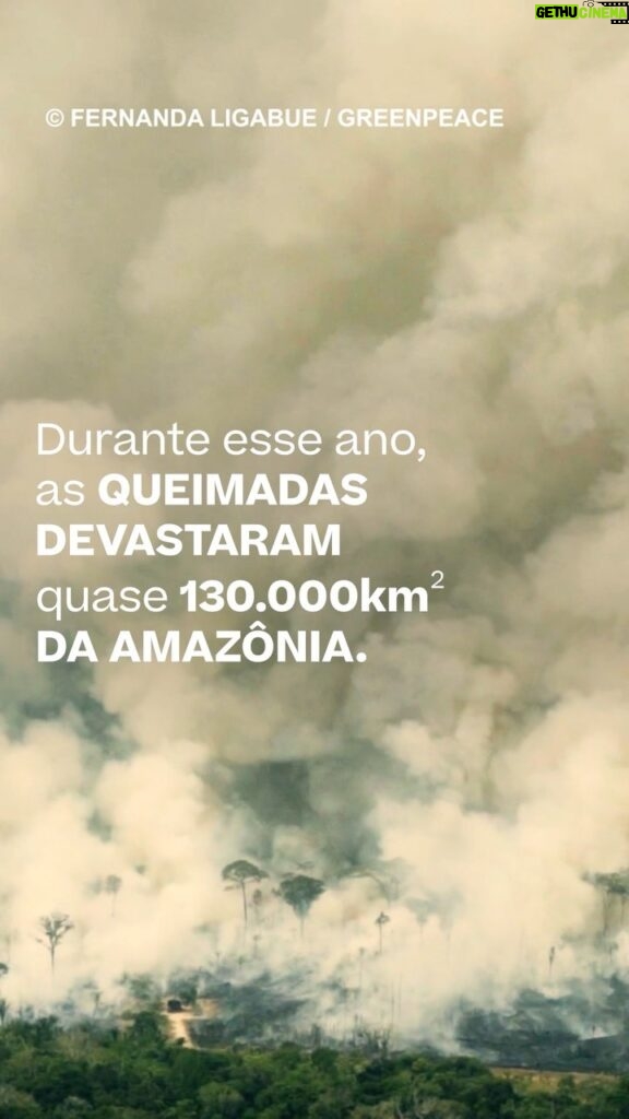 Felipe Castanhari Instagram - Estamos vendo a Amazônia ser DESTRUÍDA diante dos nossos olhos, mas muita gente não sabe, ou pelo menos finge que não sabe. As eleições estão chegando, vote em candidatos que lutam pelo meio ambiente, e não naqueles que o destróem.
