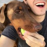 Felipe Castanhari Instagram – Descanse em paz cachorrão 😭😭

Obrigado por trazer tanta alegria pra nossa família, te amo pra sempre ❤️ #Duque