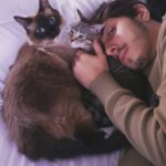 Felipe Castanhari Instagram - Ontem eu e a @nyviestephan perdemos a gatinha mais especial que já viveu nesse planeta, nossa filhinha Ella. Todo mundo que conhecia ela pela primeira vez perguntava: “Mas é Ella o nome?”, e eu sempre explicava que a Nyvi tinha dado o nome em homenagem a uma de suas cantoras preferidas: Ella Fitzgerald. Nossa Ella não cantava, mas sempre que queria um carinho se enrolava em nossas pernas, olhava pra gente com seus enormes olhos azuis e começava a miar, e aquilo, pra mim, era como ouvir minha música preferida. . Nossa Ella nos deixou muito cedo, não tinha nem 4 aninhos ainda, por isso dói muito, dói demais, especialmente depois de passar 6 meses morando com ela. Eu sempre tive cachorro e por causa disso achava que eles eram mais carinhosos e divertidos do que os gatos. Era um bla bla bla preconceituoso que só poderia vir de alguém que nunca teve um gatinho… como eu era idiota! . E uma das coisas que está fazendo essa perda ser tão dolorida é justamente o fato da Ella ter sido a grande responsável por mudar minha cabeça em relação aos gatos. Ela era uma gatinha amável, carinhosa e muito companheira. Quantas vezes eu estava trabalhando de madrugada no meu escritório e a Ella vinha toda dengosa sentar no meu colo pra me fazer companhia. A Ella me acordava quase todos os dias ronronando na minha cara, era uma das únicas formas deu não acordar mal humorado. Eu não sei mais o que digitar, tá sendo uma das piores dores que senti nos últimos anos. A gente se apega muito aos nossos animaizinhos né? É como perder um membro da família, dói tanto que eu não consigo parar de chorar… A Nyvi adotou a Ella recém nascida depois de encontra-la abandonada perto de sua antiga casa, 20 dias depois de perder sua outra gatinha. A Ella veio pra acalmar o coração da Nyvi, mas acabou fazendo MUITO mais que isso. Como eu disse lá em cima, foi a melhor gatinha que já passou por esse planeta. Vamos sentir MUITO sua falta gatinha, obrigado por todo amor que você nos deu 💔🐈