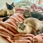 Felipe Castanhari Instagram - Dez / Jan / Fev - n necessariamente nessa ordem