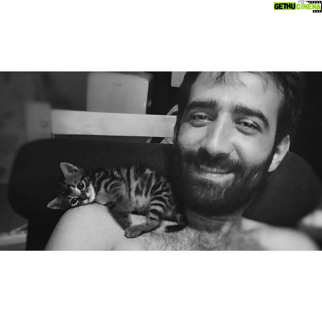Ferit Kaya Instagram - ADAMIM❤️🍀 #fiko #can #cat