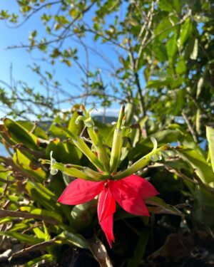 Fernanda Souza Instagram - Meus presentes de 39 anos:

Natureza 
Nascer do sol 
Silêncio 
Oração 
Flores 
Saúde
Amor dos que me amam 

E o melhor presente de todos
é o amor dessa mulher que é
minha estrutura, minha paz, 
minha aula, minha parceira,
meu colo, minha razão e meu coração! 

Obrigada, Meu Deus!
Por tanto! 

E bora pra mais uma volta ao Sol!

🎂🎈🎉🥳

E obrigada por
tanto carinhooo, gente!!!!!!