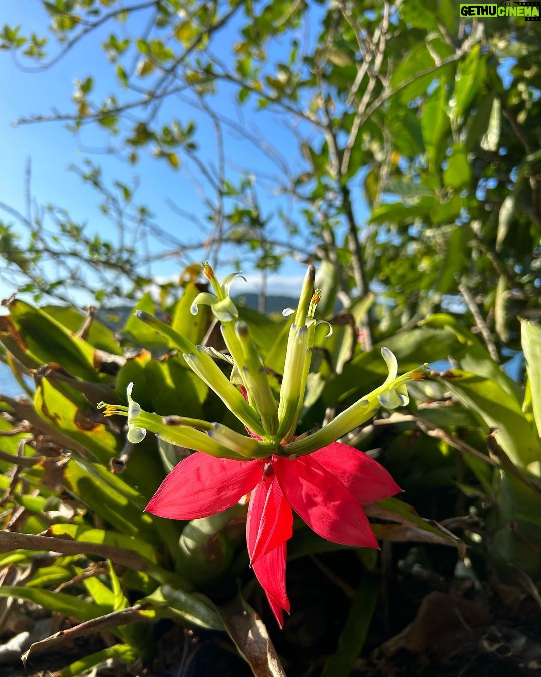 Fernanda Souza - 566.7K Likes - Meus presentes de 39 anos:
Natureza
Nascer do sol
Silêncio
Oração
Flores
Saúde
Amor dos que me amam
E o melhor presente de todos
é o amor dessa mulher que é
minha estrutura, minha paz,
minha aula, minha parceira,
meu colo, minha razão e meu coração!
Obrigada, Meu Deus!
Por tanto!
E bora pra mais uma volta ao Sol!
🎂🎈🎉🥳
E obrigada por
tanto carinhooo, gente!!!!!!