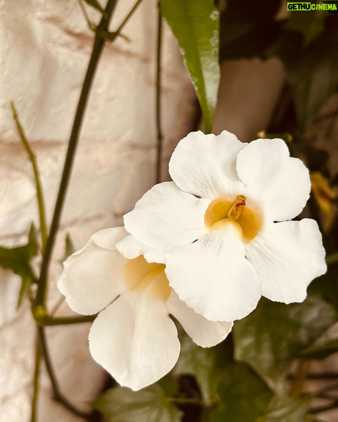 Fernanda Souza - 372.8K Likes - Agora ela não pode ver esse espelho do @spadeiaerenata
que já quer fazer uma foto…
O povo dando a vida no reels,
nas trends, metendo as danças,
e ela aí postando foto, como faziam os egípcios…
Ah Fernanda… deve ser a lua em aquário, né não?