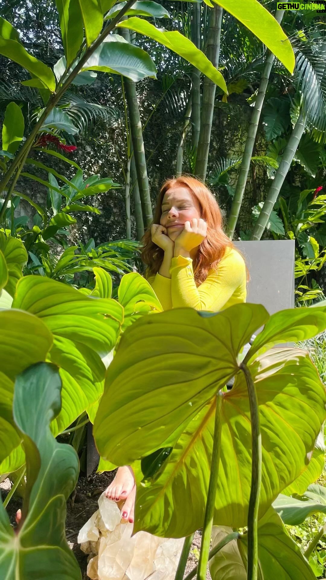 Fernanda Souza Instagram - Das coisas que aprendi aqui no insta, o Grounding, foi uma das mais impactantes na minha qualidade de vida! Hoje em dia eu não posso ver uma grama, um cristal, que já quero por meus pezinhos! E não eh balela! Pega o 🧵: A natureza tem uma vibração na casa dos 200hz… Você, quando está culpado, por exemplo, vibra uns 30hz de acordo com a Escala Hawkins, que mede nossas emoções! Então olha o poder que o tal do grounding tem de te dar um up! Grounding é uma palavra em inglês, que traduzindo significa aterrar, enraizar. É uma prática que nos permite ter um contato direto e transformador com a Mãe Terra. A prática é algo bem simples, basta que você esteja em contato direto, pele a pele com a natureza. Você pode deitar, ficar descalço, permanecer sentado ou tocar com as mãos a terra. 🌿 Principais benefícios: - Melhorar a qualidade do sono; - Reduzir dores crônicas; - Aumentar a capacidade de disposição física; - Equilibrar a energia vital; - Reduzir inflamações. Gostaram? Eu me amarro!!!! ✨✨✨ Fonte: Zen