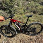 Fernando Alonso Instagram – Día de paseo con la BESTIA 😍 @mmrbikes !
