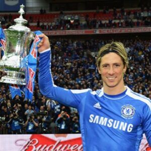Fernando Torres Instagram - 10 years of memories... @fifaworldcup 
#facup 
@championsleague 
#uefaeuro2012 
@europaleague 
#golden boot X2
@chelseafc 
@sefutbol 
@acmilan ...