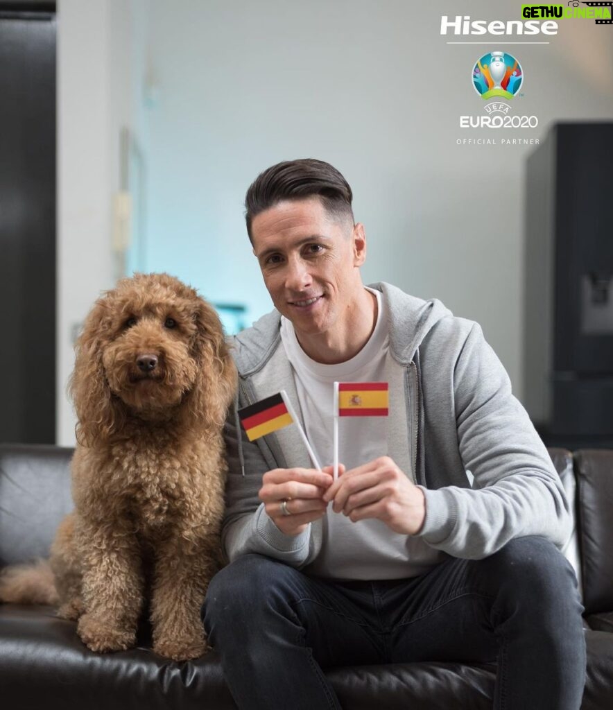 Fernando Torres Instagram - If you haven't already, then don't forget to enter the @hisensesports UEFA EURO 2020 Draw competition! ⚽ ⠀ ⠀ I predicted Spain to win, make your prediction here: https://bitly.com/HisensePetsense 🇪🇸 ⠀ ⠀ #HisensePetSense #EURO2020