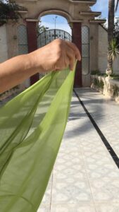 Fifi Abdo Instagram -