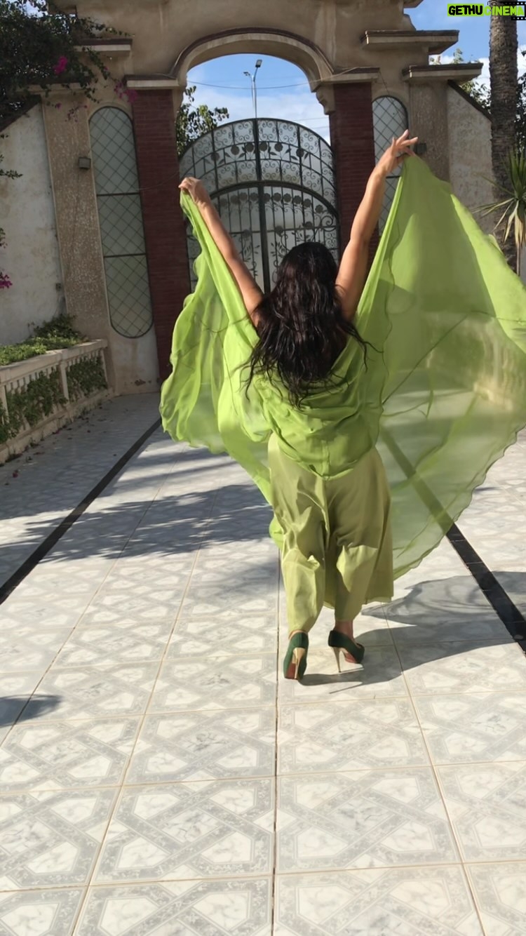 Fifi Abdo - 44.2K Likes - ابعتولي الأغاني الجديدة بقى عشان نرقص عليها إن شاء الله في الساحل الشمالي بحبكم ومبروك على الأغاني كلها