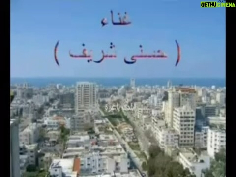 Fifi Abdo Instagram - اغنية قديمة عاملها الفنان حسني شريف لغزة. اغنية جميلة و يا رب احفظ غزة و كل فلسطين و شعبها 🇵🇸❤️ ربنا يطولنا بعمرك يا رب يا حسني #palestine #gaza #فلسطين #غزه