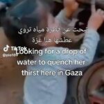 Fifi Abdo Instagram - حسبي الله ونعم الوكيل ربنا ينشف دم كل ظالم على قد ما نشفتو ريق الأطفال الأبرياء في غزة. يا عالم انقذوا أطفال غزة من الإبادة دي يا رب الطف بيهم و انصرهم و ارحمهم انت قادر على كل شيء #غزة #غزة_تحت_القصف #فلسطين #gaza #gazaunderattack #istandwithpalestine