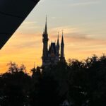 Flavia Pavanelli Instagram - dump repleto de memórias 🪄✨🧚🏼‍♀️ Animal Kigdom + Magic Kingdom 🎆 Walt Disney World
