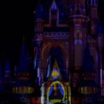 Flavia Pavanelli Instagram - dump repleto de memórias 🪄✨🧚🏼‍♀️ Animal Kigdom + Magic Kingdom 🎆 Walt Disney World