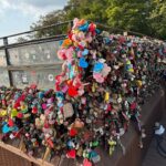 Flavia Pavanelli Instagram - Nenhuma legenda descreve quando nossa alma é abraçada pelo lugar em que visitamos. Aqui me sinto assim. A Coreia tem sido surpreendente 🔒💘 @elausabrasil, obrigada por cada experiência Namsan & N Seoul Tower