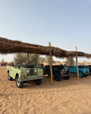 Flavia Pavanelli Instagram - Estou atrasada nos posts mas quem acompanha os stories já viu a experiência especial que tivemos ontem com a @platinumheritage 🏜️ foi lindo demais! Obrigada, querida @fmconciergedubai ✨🐫

vestindo @shopyouse (coleção “handmade” que lançaremos em breve)