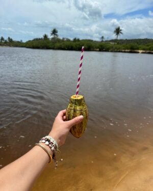 Flavia Pavanelli Instagram - Esses dias na bahia 🇧🇷🍀🌴🛞
