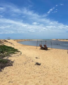 Flavia Pavanelli Instagram - Esses dias na bahia 🇧🇷🍀🌴🛞 Trancoso, Bahia, Brazil