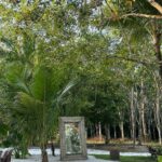 Flavia Pavanelli Instagram - 🤍 Trancoso, Bahia, Brazil