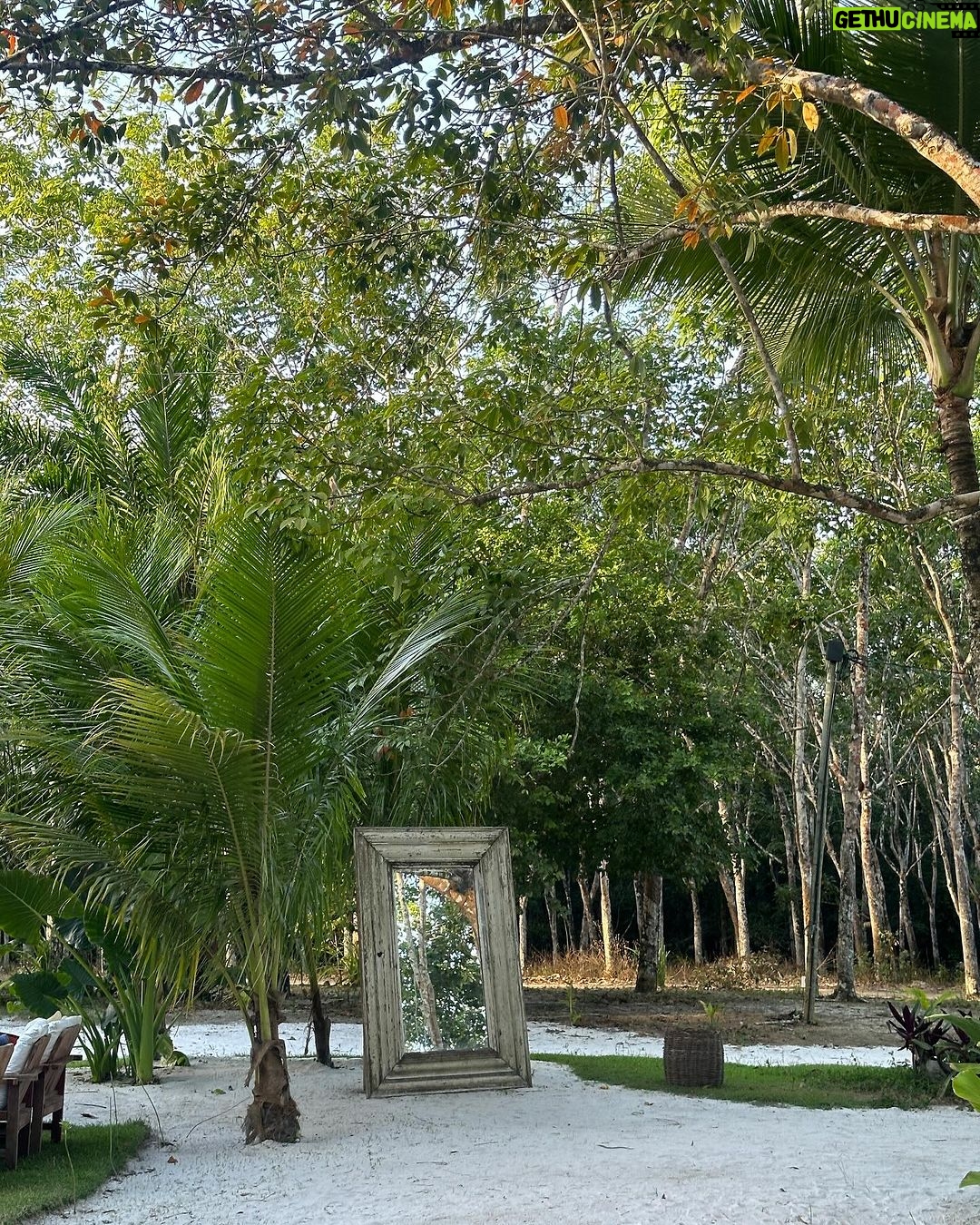 Flavia Pavanelli Instagram - 🤍 Trancoso, Bahia, Brazil