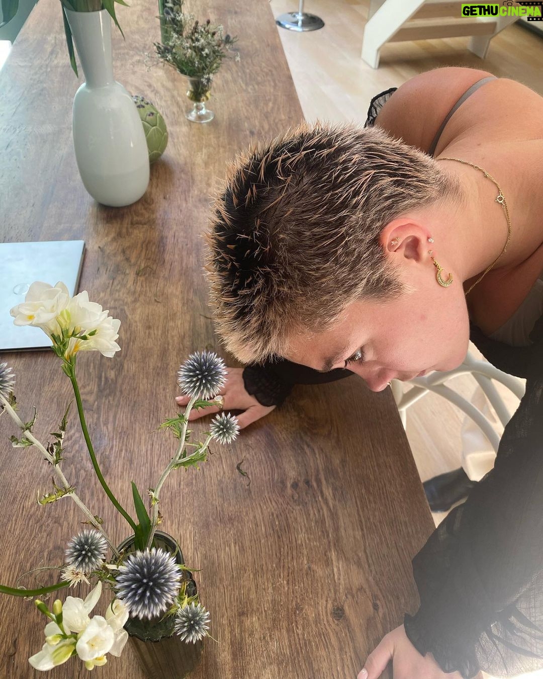 Florence Pugh Instagram - Rams and gals and tzatziki and dacos and @ashleyparklady and my hair looking like spikey flowers. P.S. we met a lone Ram who was super thirsty and hungry for attention so fed it water in the only utensil we had… a snorkel.