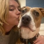 Florence Pugh Instagram - It’s our Missy moo’s birthday today! We fostered her three years ago and fell in love with her on day one so asked to adopt. She is the LIGHT OF MY LIFE. I’ve never walked with someone who gets more smiles just walking down the street than she does. She snuggles me when I’m sad and sings opera when I come home. Even makeup artists are jealous of her natural eye shadow look. This dog.. she makes my heart happy.