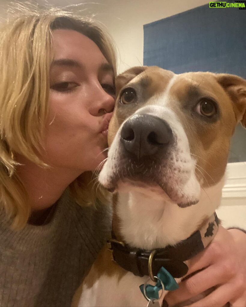 Florence Pugh Instagram - It’s our Missy moo’s birthday today! We fostered her three years ago and fell in love with her on day one so asked to adopt. She is the LIGHT OF MY LIFE. I’ve never walked with someone who gets more smiles just walking down the street than she does. She snuggles me when I’m sad and sings opera when I come home. Even makeup artists are jealous of her natural eye shadow look. This dog.. she makes my heart happy.