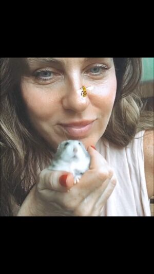 Florencia Ortiz Instagram - Recién hoy te puedo hacer este pequeño homenaje y aun asi lloro. Te amamos Servita, nos hiciste muy felices. #hamster  #amor #bb #hamsterruso ❤️‍🩹💜⭐️