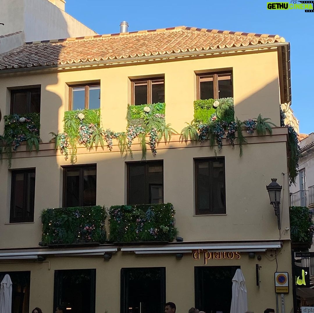 Florencia Ortiz Instagram - Bella Málaga y mas con mi amiga Jose. #malaga Málaga, Spain