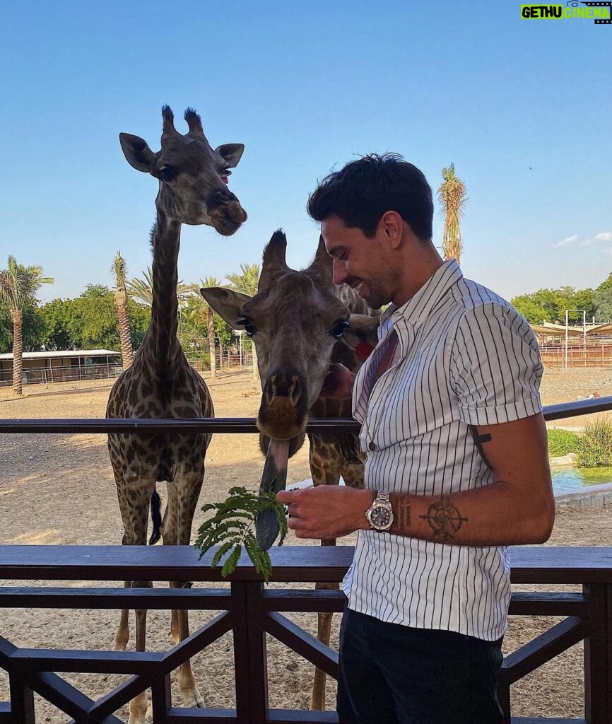 Florent André Instagram - 🦒 👀 Dubai