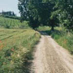 Floriana Lima Instagram - A let’s go back to Italy photo dump Italia