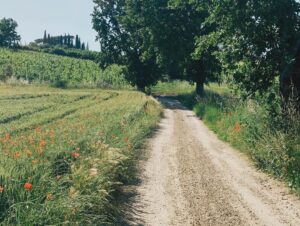 Floriana Lima Instagram - A let’s go back to Italy photo dump